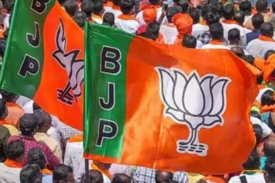 मध्य प्रदेश की तीनों राज्यसभा सीटों पर भाजपा का कब्जा, निर्विरोध जीते ये तीन उम्मीदवार