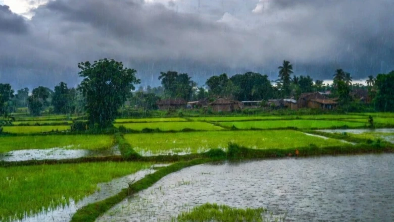 बिहार के दरवाजे पर मानसून: पटना से पूर्णिया तक बरस रहे बादल, 2-3 दिन में दस्तक की उम्मीद!