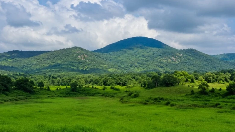 जमशेदपुर के पास ढाई कुसुम गांव: हरियाली, सुकून और होम स्टे का अनोखा संगम