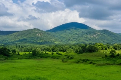 जमशेदपुर के पास ढाई कुसुम गांव: हरियाली, सुकून और होम स्टे का अनोखा संगम