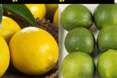पीला नींबू और हरा नींबू: दोनों में असली फर्क क्या है? जानें पहचान, फायदे और इस्तेमाल का सही तरीका
