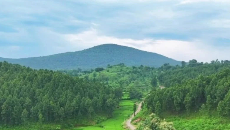 रांची के टॉप 5 पिकनिक स्पॉट, जहां की हरियाली के आगे फीकी पड़ जाए स्विट्जरलैंड की खूबसूरती