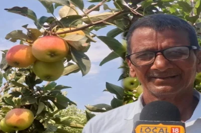 बहराइच में पिता-पुत्र की मेहनत रंग लाई, 45 डिग्री की तपिश में लहलहा उठे हिमाचली सेब के पेड़