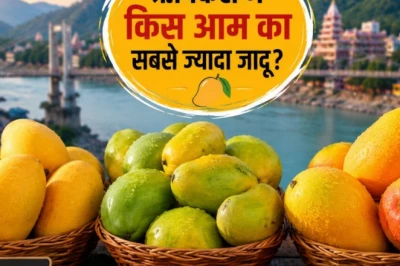ऋषिकेश में आमों की बहार: दशहरी और चौसा की सबसे ज्यादा धूम, जानें कौन बिक रहा 1400 रुपये किलो