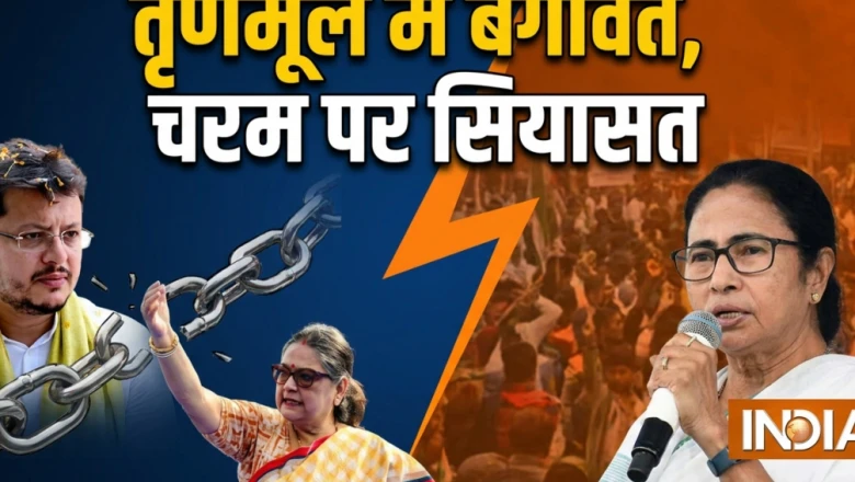 तृणमूल में अंदरूनी कलह तेज़: बागी सांसदों की सूची उजागर, कल्याण बनर्जी के तेवरों से सियासत गरमाई