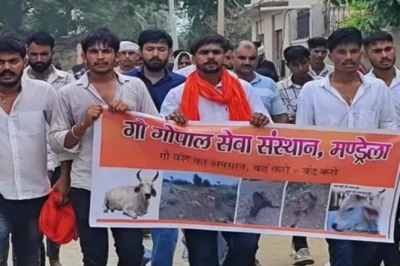 झुंझुनूं के युवाओं की अनूठी गौसेवा, 700 से ज्यादा गौवंश का उपचार कर खड़ा किया गौ चिकित्सालय