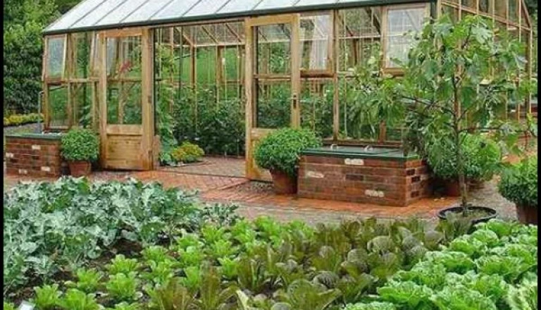 मानसून से पहले खेत यूं तैयार करें किसान, ट्राली भर निकलेगी सब्जियां और दोगुना होगा मुनाफा
