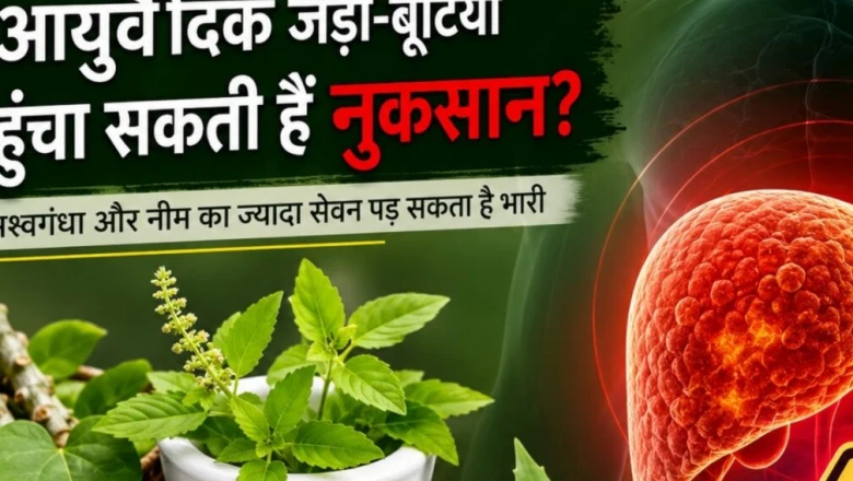 नीम, तुलसी, गिलोय और अश्वगंधा: कब बन जाती हैं ये जड़ी-बूटियां सेहत के लिए मुसीबत, जानें जरूरी बातें