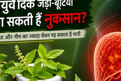 नीम, तुलसी, गिलोय और अश्वगंधा: कब बन जाती हैं ये जड़ी-बूटियां सेहत के लिए मुसीबत, जानें जरूरी बातें