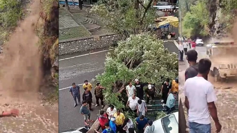 हिमाचल में प्री-मॉनसून बारिश का कहर: रामपुर में गाड़ियों पर गिरा पेड़, चंबा के नाले में फ्लैश फ्लड से 20 भेड़-बकरियों की मौत