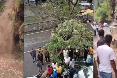 हिमाचल में प्री-मॉनसून बारिश का कहर: रामपुर में गाड़ियों पर गिरा पेड़, चंबा के नाले में फ्लैश फ्लड से 20 भेड़-बकरियों की मौत