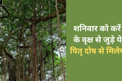 पितृ दोष मुक्ति उपाय: शनिवार को पीपल से जुड़े ये 4 काम करें, पितरों की कृपा से चमकेगा भाग्य