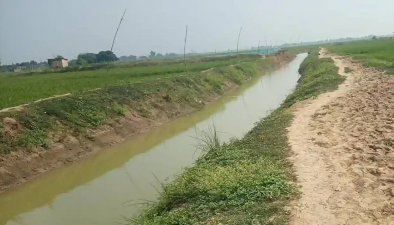 हनौता बांध बनकर तैयार, अब किसानों के सूखे खेतों तक पहुंचेगा पानी और लहलहाएंगी फसलें