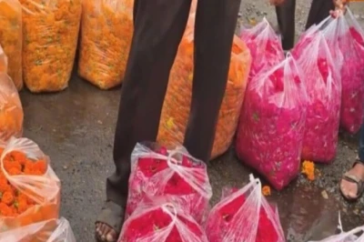 सीकर में फूल कारोबार पर मंदी का साया, बिक्री 60% तक लुढ़की, बचा माल सड़कों पर फेंकने को मजबूर व्यापारी