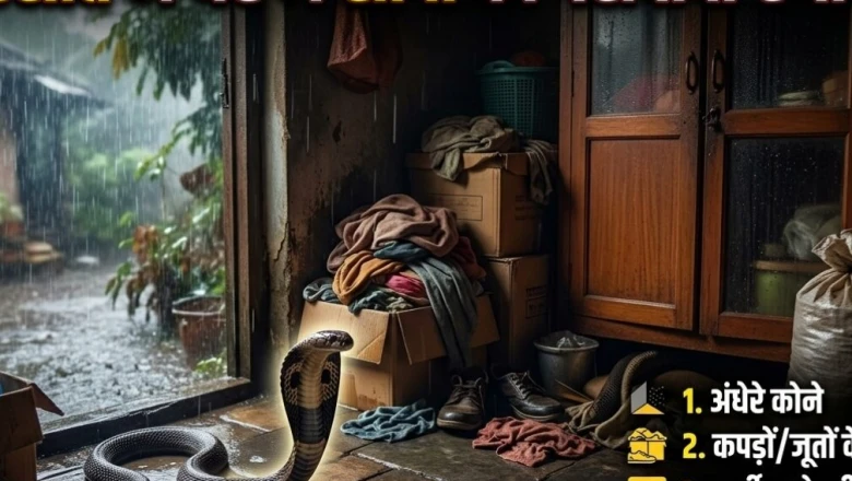 मॉनसून के साथ लौट रहा है सांपों का सक्रिय मौसम, घरों में घुसपैठ से पहले इन जगहों पर रखें नजर और जानें बचाव के तरीके