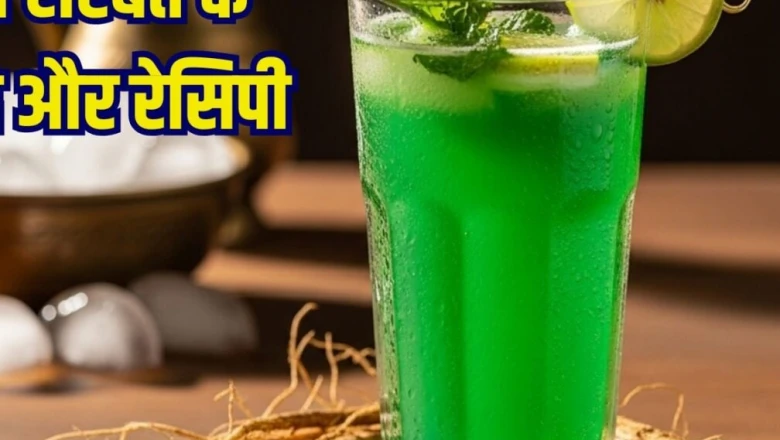 गर्मी से राहत का पारंपरिक नुस्खा 'खस का शरबत', तन-मन को दे ठंडक और नई ऊर्जा, जानें बनाने की विधि और फायदे
