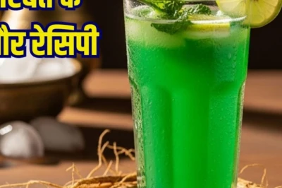 गर्मी से राहत का पारंपरिक नुस्खा 'खस का शरबत', तन-मन को दे ठंडक और नई ऊर्जा, जानें बनाने की विधि और फायदे