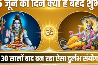 जून महासंयोग: 15 जून को 30 वर्षों बाद बनेगा सोमवती अमावस्या और अधिकमास का अनोखा योग, इस दिन करें ये 3 उपाय