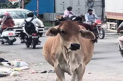 सावधान! पर्यटकों से गुलजार देहरादून की सड़कों पर मंडरा रहा खतरा, जान जोखिम में डालकर सफर कर रहे लोग