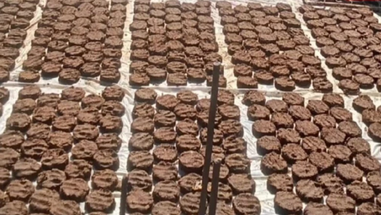 गोबर से बनी आत्मनिर्भरता: महिला समूह को मिला 6 लाख रुपये के कंडों का बड़ा ऑर्डर
