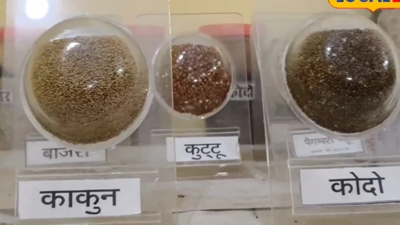 चित्रकूट में किसानों को राहत: कोदो हो या रागी, अब बीज के लिए नहीं भटकना पड़ेगा