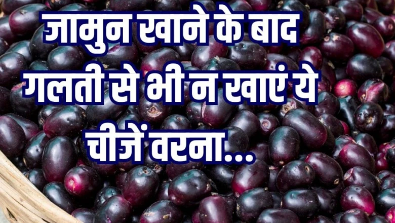 जामुन के साथ या तुरंत बाद इन चीजों से करें परहेज, वरना सेहत को हो सकता है नुकसान; जानें खाने का सही तरीका