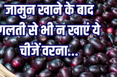 जामुन के साथ या तुरंत बाद इन चीजों से करें परहेज, वरना सेहत को हो सकता है नुकसान; जानें खाने का सही तरीका