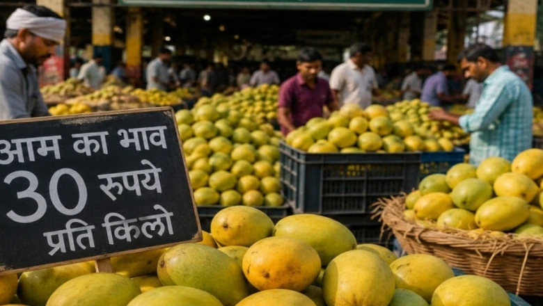 अभी सस्ते में लीजिए आम का स्वाद, जल्द बढ़ेंगे दाम; पटना मंडी में गिरे भाव