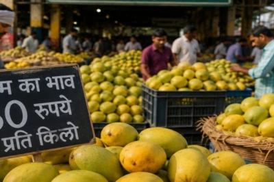 अभी सस्ते में लीजिए आम का स्वाद, जल्द बढ़ेंगे दाम; पटना मंडी में गिरे भाव
