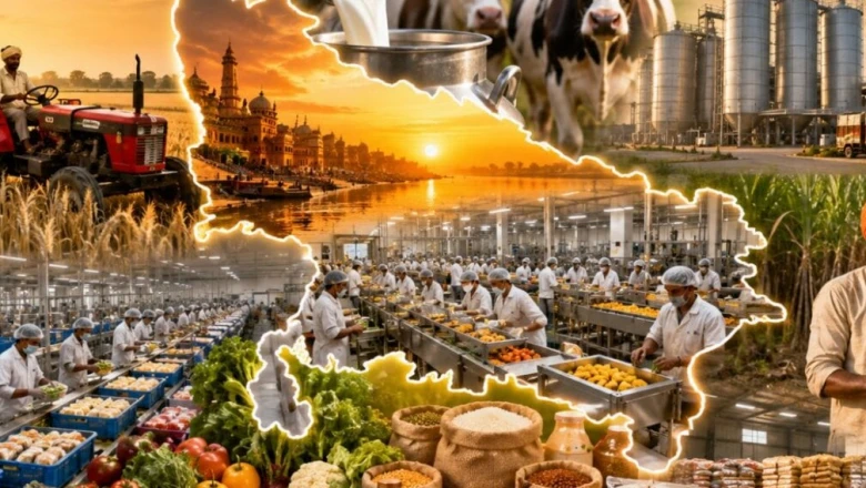 कृषि-दूध के बाद अब फूड प्रोसेसिंग में भी अव्वल यूपी, 3.50 लाख से ज्यादा इकाइयों ने रचा इतिहास