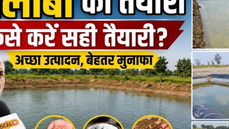 मानसून में रफ्तार पकड़ेगा मछली पालन, इस सीजन तगड़ी कमाई चाहिए तो 15 जून से पहले निपटा लें ये जरूरी काम