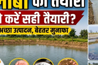 मानसून में रफ्तार पकड़ेगा मछली पालन, इस सीजन तगड़ी कमाई चाहिए तो 15 जून से पहले निपटा लें ये जरूरी काम