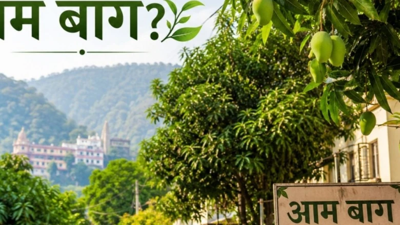 ऋषिकेश का 'आम बाग': जानिए कैसे पड़ा इस इलाके का यह अनोखा नाम