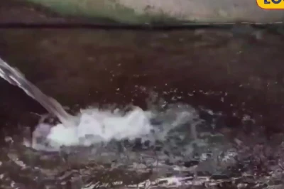 मत्स्य पालकों के लिए नई सब्सिडी योजनाएं शुरू, तालाब-नाव-जाल और एरेशन सिस्टम पर मिलेगा अनुदान, जानें आवेदन की पूरी प्रक्रिया