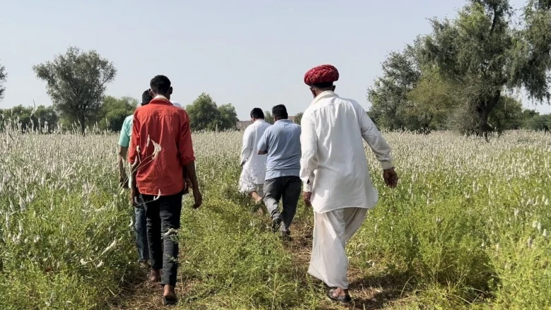 अब आधी कीमत पर खरीदें आधुनिक कृषि यंत्र, सरकार दे रही 50 प्रतिशत तक अनुदान, इस तारीख तक करें आवेदन