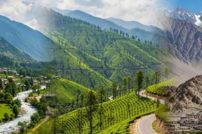 Best Summer Destinations: गर्मी का मौसम बीतने से पहले देख आएं भारत की ये 5 मनमोहक जगहें, सफर बनेगा यादगार