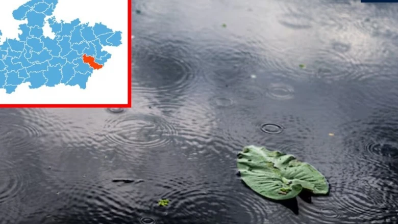 MP में मानसून की आहट, 33 जिलों में बारिश के आसार; 8 जिलों में तेज आंधी का अलर्ट