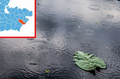 MP में मानसून की आहट, 33 जिलों में बारिश के आसार; 8 जिलों में तेज आंधी का अलर्ट