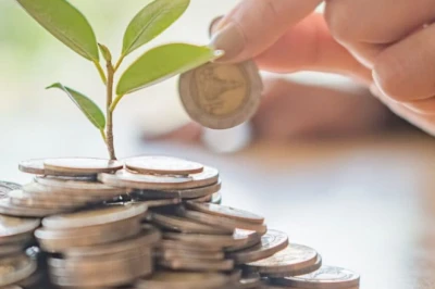 15 साल से सालाना 18.5% तक का रिटर्न, 10 हजार की एसआईपी ने बना दिए करीब 1 करोड़ रुपये
