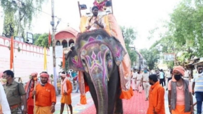 महाकाल की सवारी का शाही सेवक हाथी श्यामू, रोज़ खाता है 50 रोटियां और एक बार में पी जाता है 25 बाल्टी पानी
