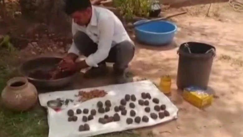जुड़ गांव में अनूठी पहल: 363 शहीदों की याद में खेजड़ी उद्यान, सीड बॉल्स से उगेगी हरियाली