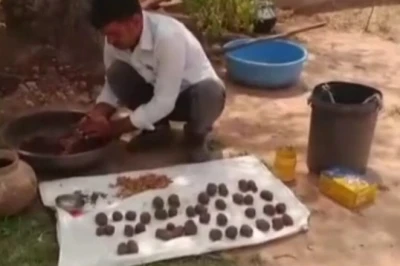 जुड़ गांव में अनूठी पहल: 363 शहीदों की याद में खेजड़ी उद्यान, सीड बॉल्स से उगेगी हरियाली