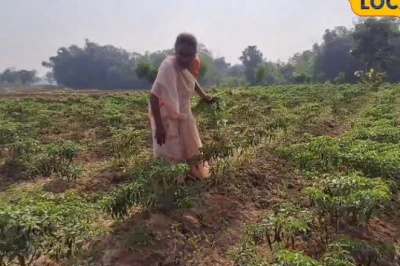 कम बारिश में किन फसलों से मिलेगा बेहतर मुनाफा? जानें कृषि विशेषज्ञों की राय