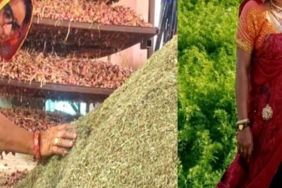 घर-आंगन से शुरू हुई पहल बनी देशव्यापी पहचान; सीकर की संतोष पचार गाजर के बीज से कर रहीं 35 लाख की कमाई