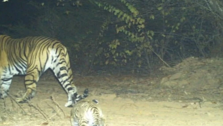 टाइगर रिजर्व के गांवों में अब घर बैठे कमाई, पर्यटन से खुलेंगे रोजगार के नए रास्ते