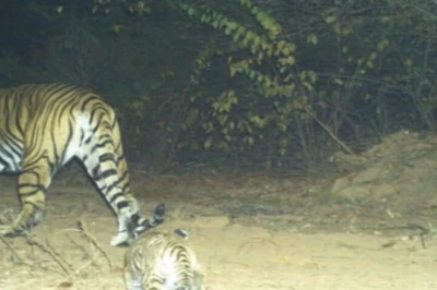 टाइगर रिजर्व के गांवों में अब घर बैठे कमाई, पर्यटन से खुलेंगे रोजगार के नए रास्ते