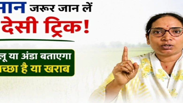 धान की बुआई से पहले अपनाएं ये देसी नुस्खा, आलू और अंडे से जानें बीज सही है या खराब