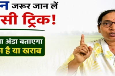 धान की बुआई से पहले अपनाएं ये देसी नुस्खा, आलू और अंडे से जानें बीज सही है या खराब