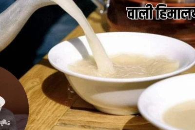 दूध-चीनी वाली नहीं, यह अनोखी चाय है हिमालयी गांवों की सुबह की पहली घूंट, जानें इसके कमाल के फायदे
