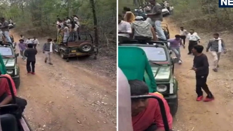 अगर बाघ हमला कर देता तो? सोनेवानी कंजर्वेशन रिजर्व में जिप्सी से उतरकर पर्यटकों की बड़ी लापरवाही